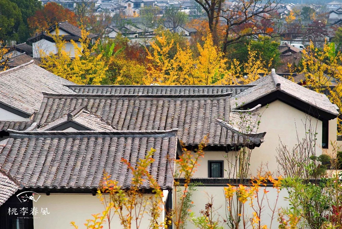 emcױ(й)ٷվ-EMC SPORTS